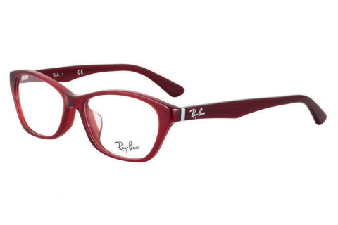 Ray-Ban RX5295D-5173(54)