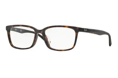 Gọng kính Ray-Ban RX5319D-5211(55)