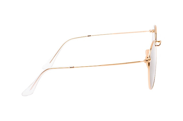 Ray-Ban Round RB3447-001(53)