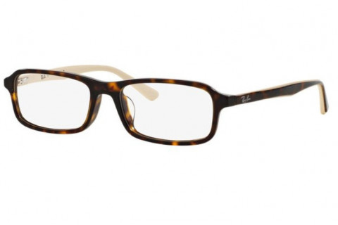 Ray-Ban RX5321D-5424(55)