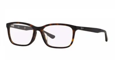 Gọng kính Ray-Ban RX5336D-5211(55)
