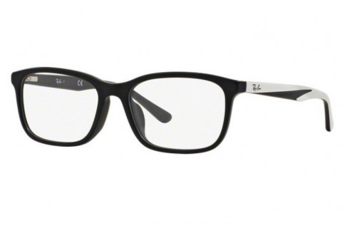 Ray-Ban RX5336D-5530(55)