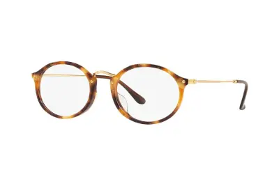 Gọng kính Ray-Ban RX2547VF-5494(53)