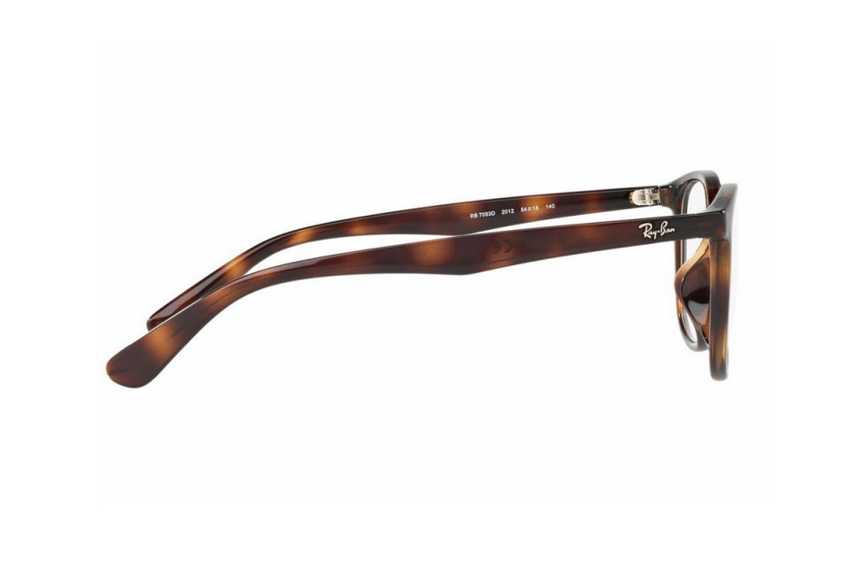 Gọng kính Ray-Ban RX7093D-2012(54)