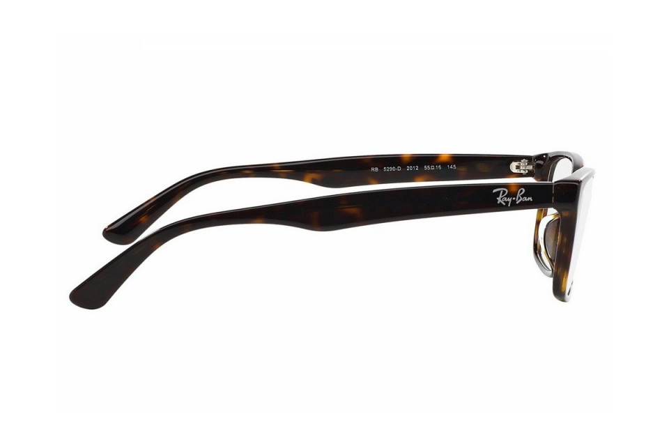 Gọng kính Ray-Ban RX5290D-2012(55)