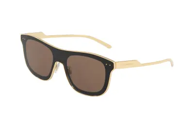 Kính mát Dolce & Gabbana DG2174-04/73(42)