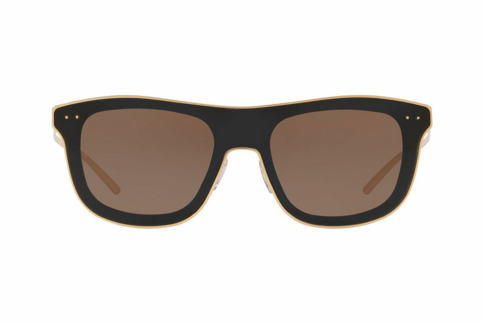 Kính mát Dolce & Gabbana DG2174-04/73(42)