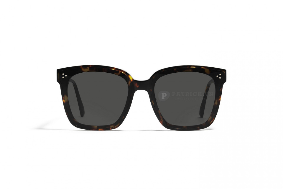 Gentle Monster Dreamer 17-T1