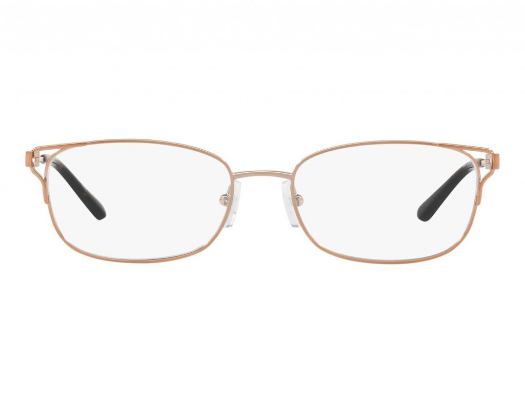 Gọng kính Michael Kors San Vicente MK3020 1083(53)