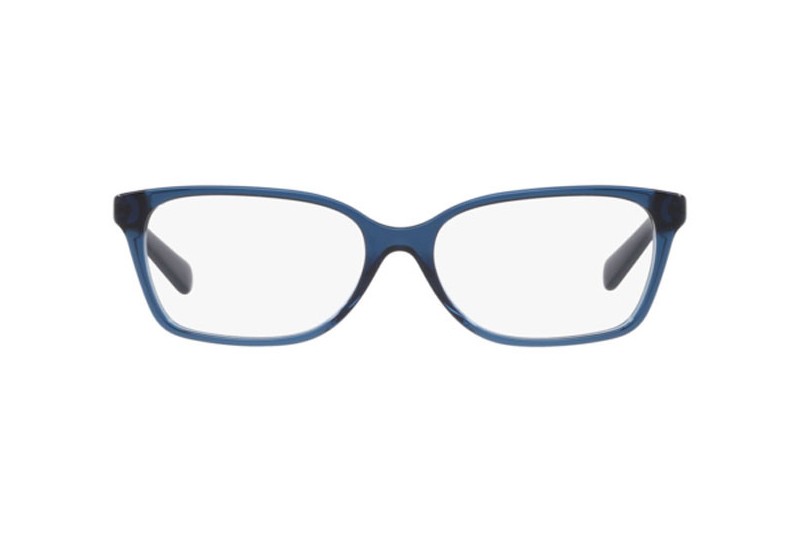 Michael Kors India MK4039 3199(54)