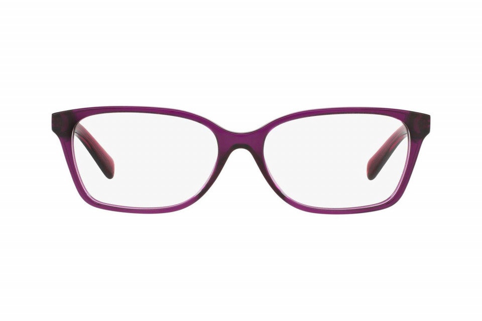 Michael Kors India MK4039F 3222(54)