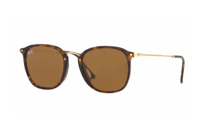 Kính mát Ray-Ban RB2448NF-902(53)