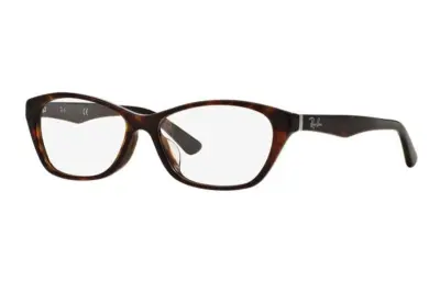 Gọng kính Ray-Ban RX5295D-2012(54)