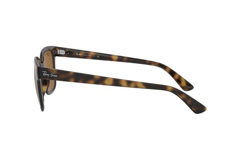 Kính mát Ray-Ban RB4323F-710/33(51)