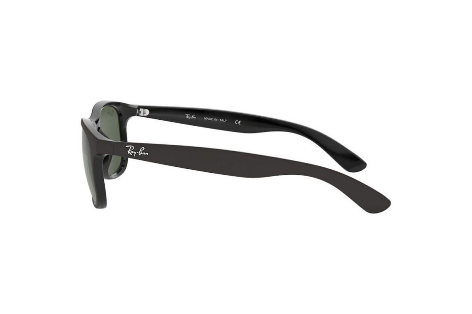 Kính mát Ray-Ban Andy RB4202F-6069/71(57)