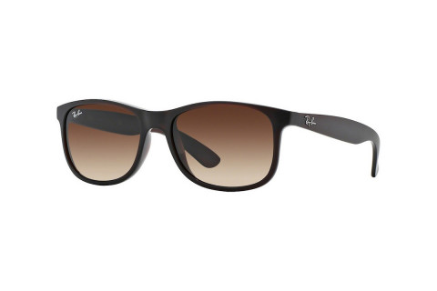 Ray-Ban RB4202F-6073/13(57)