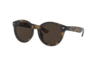 Kính mát Ray-Ban RB4261D-710/73(55)