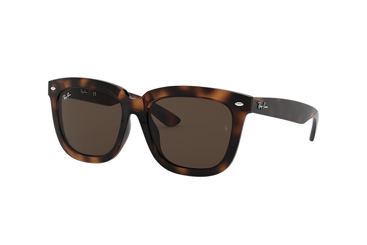 Kính mát Ray-Ban RB4262D-710/73(57)