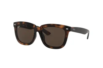 Kính mát Ray-Ban RB4262D-710/73(57)