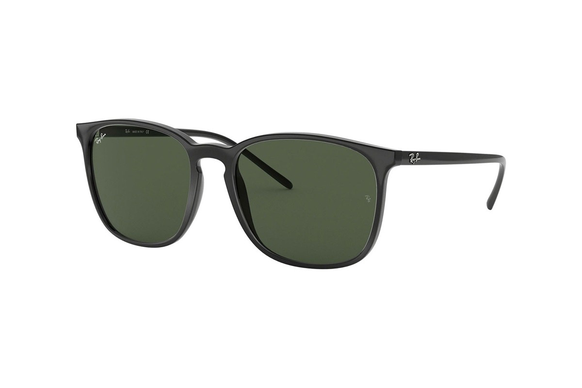 Ray-Ban RB4387F-901/71(55)