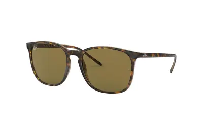 Kính mát Ray-Ban RB4387F-902/73(55)