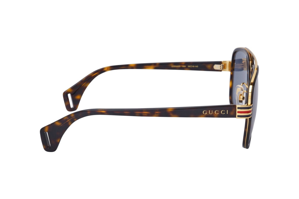 Gucci GG0448S 004 58