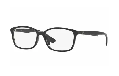 Gọng kính Ray-Ban RX7094D-2000(55)