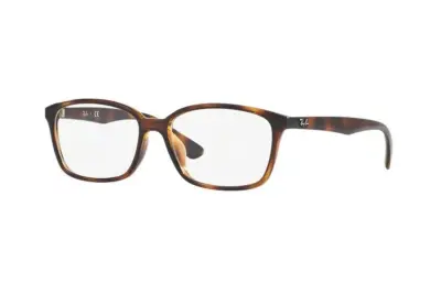 Gọng kính Ray-Ban RX7094D-2012(55)