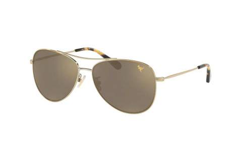 Coach HC7079-9005/6G(58)