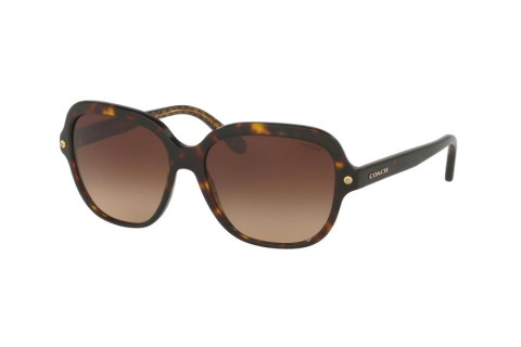 Coach HC8192F-5394/13(56)