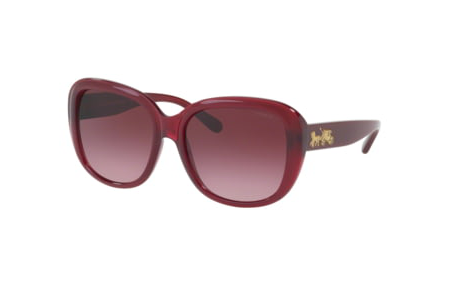 Coach HC8207F-5450/8H(57)