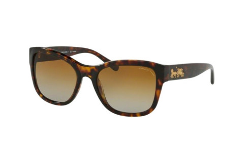 Coach HC8243F-5417/T5(55)