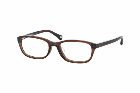 Coach Melinda HC6053D-5059(53)