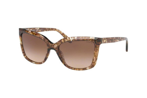 Coach HC8261F-5562/74(57)