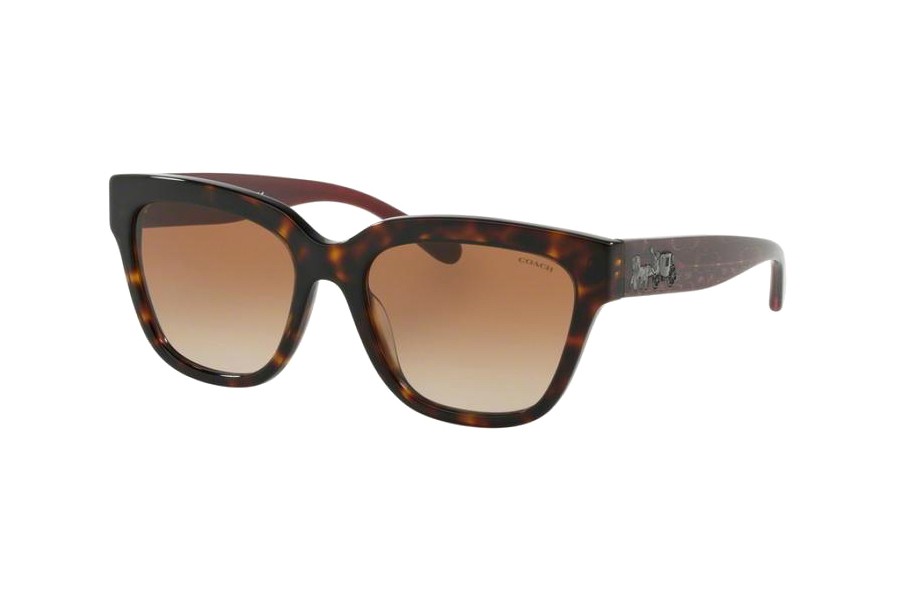 Coach HC8262F-5120/13(55)