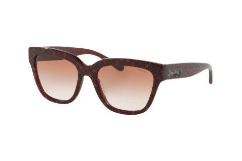 Coach HC8262F-5545/13(55)