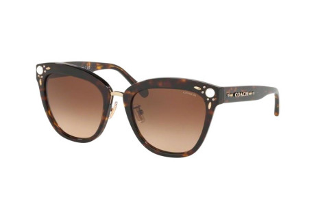 Coach HC8266H-5120/74(53)