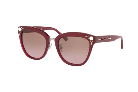 Coach HC8266H-5526/14(53)