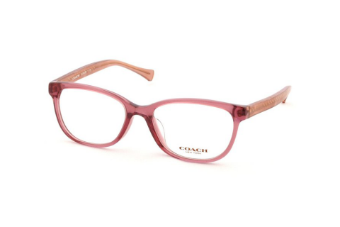 Coach HC6072F-5329(52)