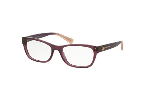 Coach HC6082F-5351(53)