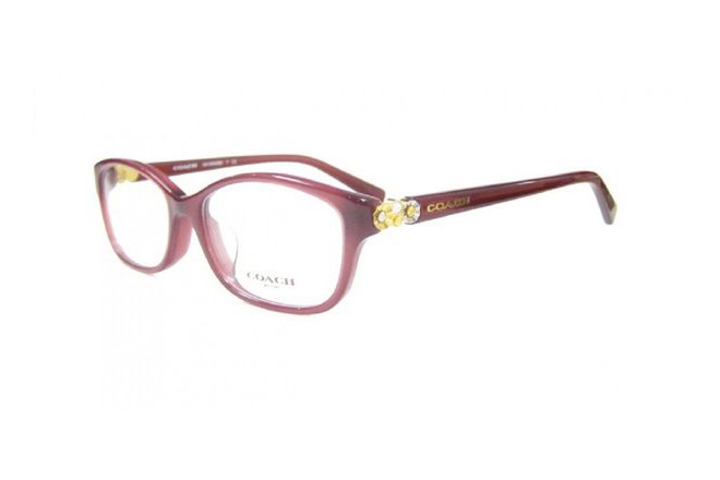 Coach HC6092BD-5398(54)