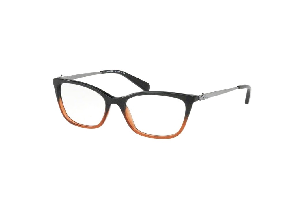 Coach HC6107F-5475(54)