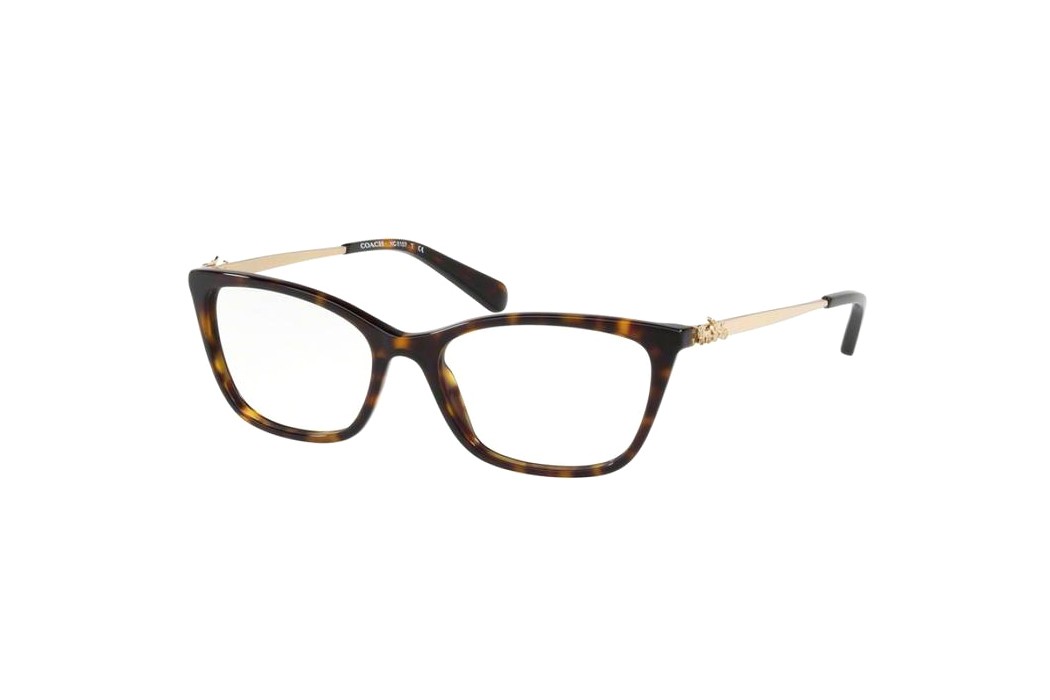 Coach HC6107F-5485(54)