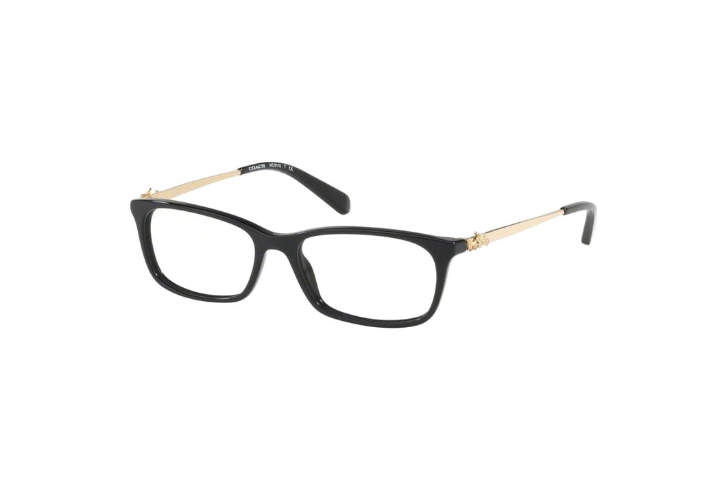 Coach HC6110F-5486(54)