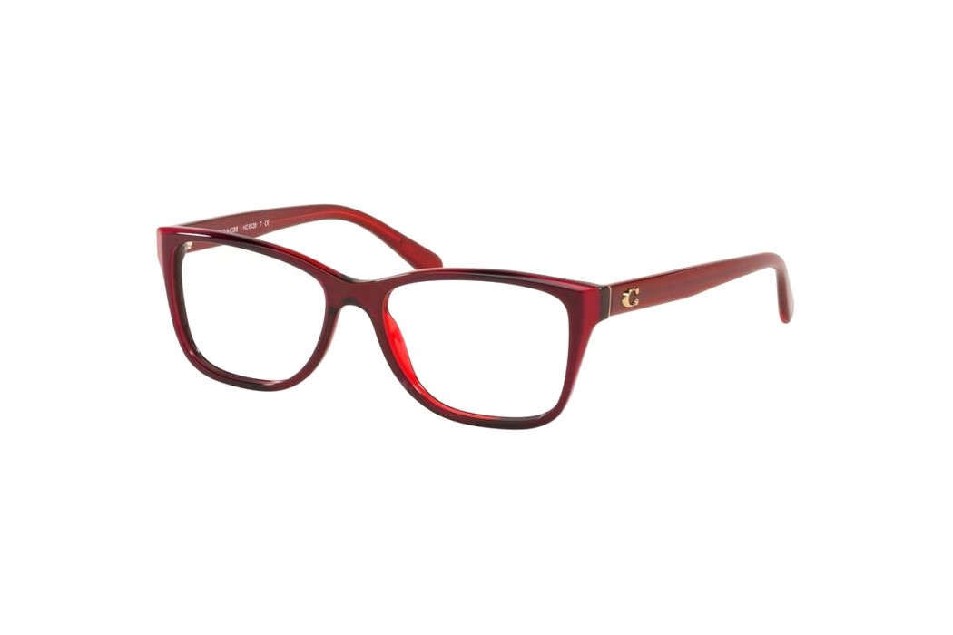 Coach HC6129F-5532(54)