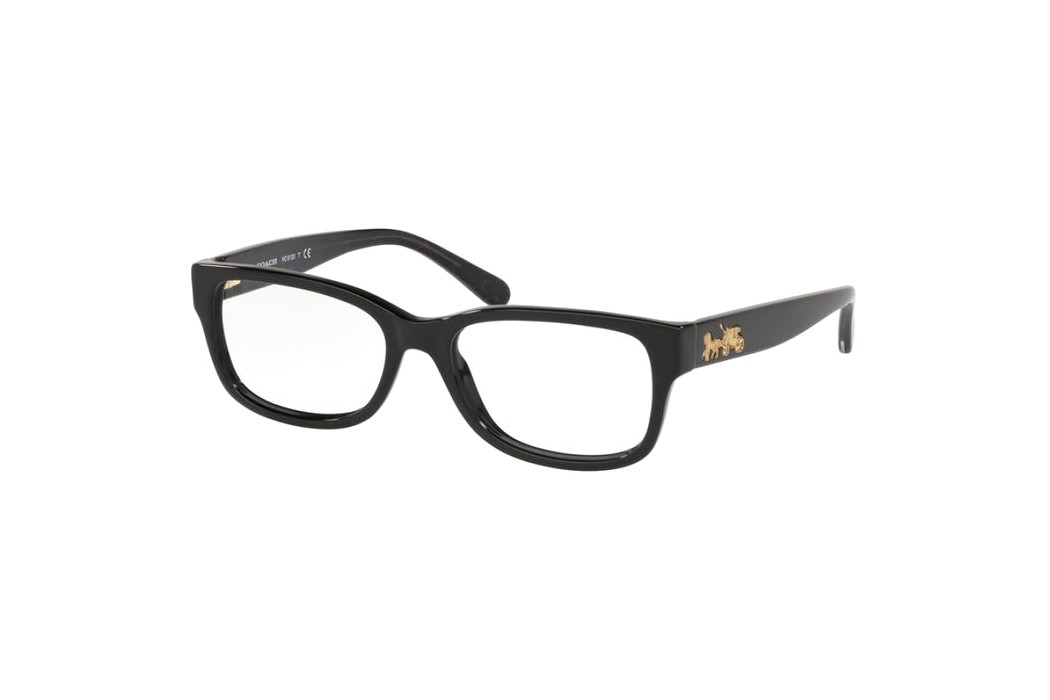 Coach HC6133F-5002(54)