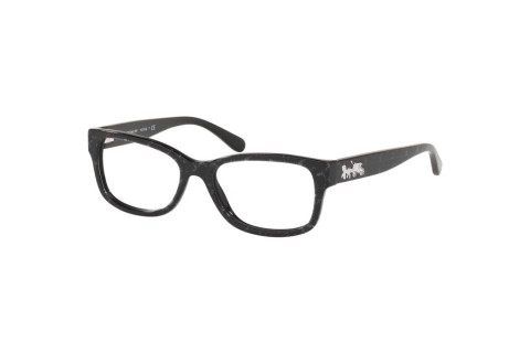 Coach HC6133F-5572(54)