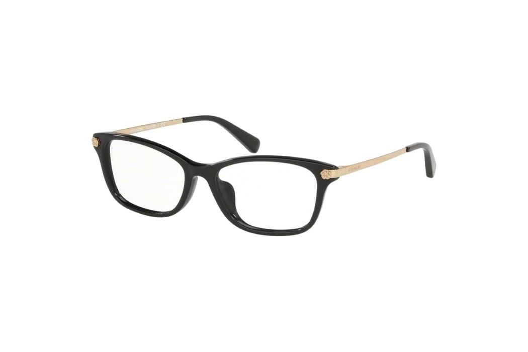 Coach HC6142F-5002(53)