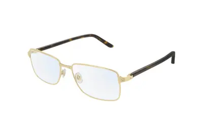 Gọng kính Cartier CT0040O 012 (55)