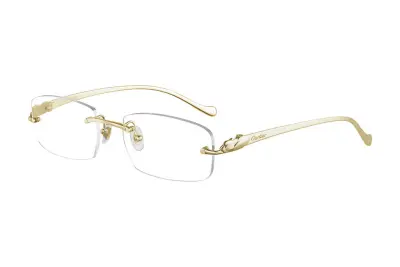 Gọng kính Cartier CT0061O 002 (53)